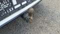 View of trailer tow-bar hitch
