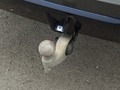 View of trailer tow-bar hitch