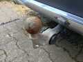 View of trailer tow-bar hitch