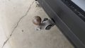 View of trailer tow-bar hitch