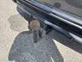 View of trailer tow-bar hitch
