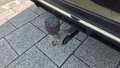 View of trailer tow-bar hitch