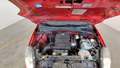 Vue du compartiment moteur
