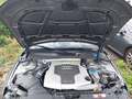 Vue du compartiment moteur