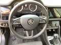 View of steering wheel