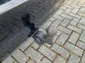 View of trailer tow-bar hitch