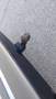 View of trailer tow-bar hitch