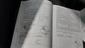 Attestation d'entretien