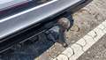 View of trailer tow-bar hitch