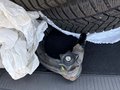 View of trailer tow-bar hitch
