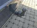 View of trailer tow-bar hitch