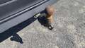 View of trailer tow-bar hitch