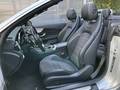 View of front seats