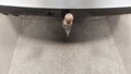 View of trailer tow-bar hitch