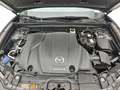 Üksikasjalik foto