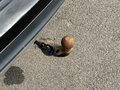 View of trailer tow-bar hitch