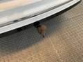 View of trailer tow-bar hitch