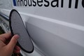 Photo de détail