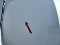 Photo de détail