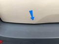 Photo de détail