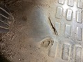 Photo de détail
