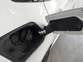 Photo de détail