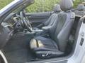 View of front seats