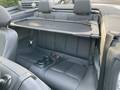 View of rear seat