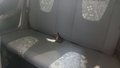 View of rear seat