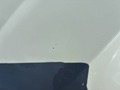 Podrobna fotografija