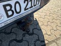 Podrobna fotografija