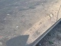 Podrobna fotografija