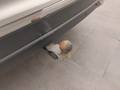 View of trailer tow-bar hitch