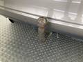 View of trailer tow-bar hitch