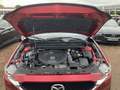 View of engine compartment