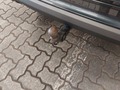 View of trailer tow-bar hitch