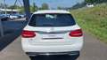 Rear view