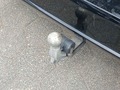 View of trailer tow-bar hitch