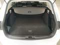 View of boot / luggage space