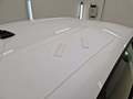 Podrobna fotografija