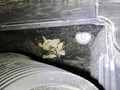Meer foto's carrosserie