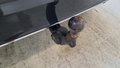 View of trailer tow-bar hitch