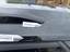 Streha