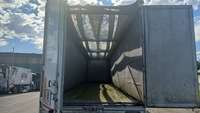 View of boot / luggage space