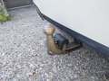 View of trailer tow-bar hitch