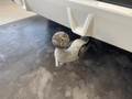 View of trailer tow-bar hitch