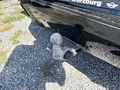 View of trailer tow-bar hitch