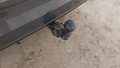 View of trailer tow-bar hitch
