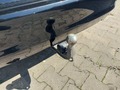 View of trailer tow-bar hitch