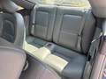 View of rear seat